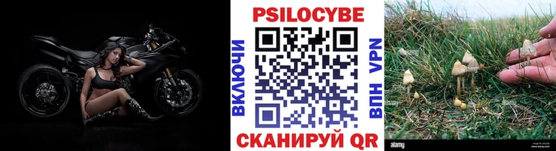 Псилоцибиновые грибы Psilocybe  наркота  Любим 